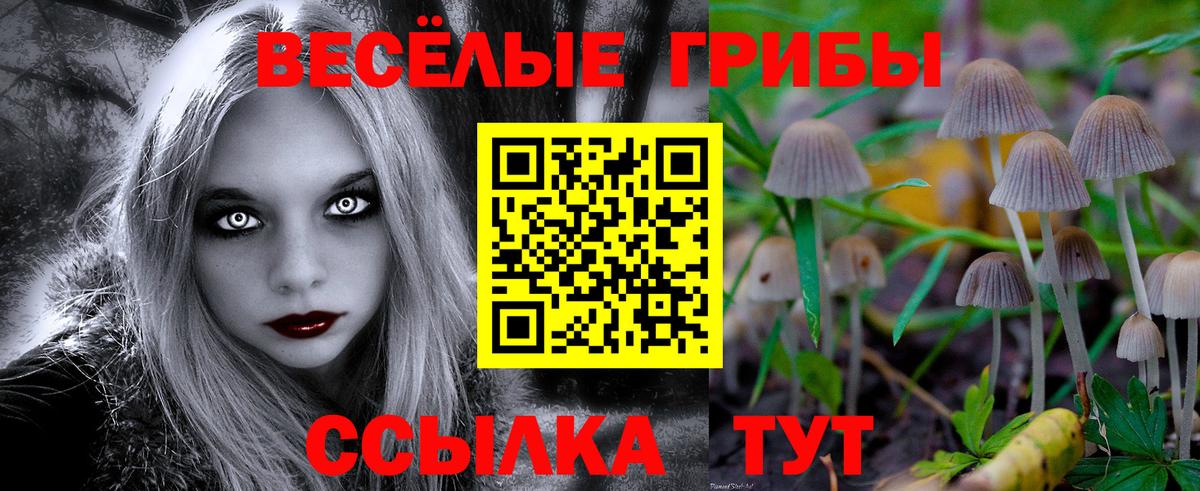 Галлюциногенные грибы GOLDEN TEACHER  Галлюциногенные грибы мухоморы  Стрежевой  Вход с VPN 